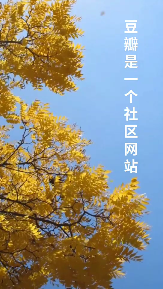 豆瓣的意思是什么