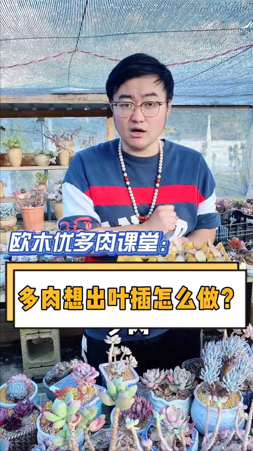 保姆级教程!三步教你多肉叶插,从一片叶子种出一百颗多肉#多肉#多肉植物#