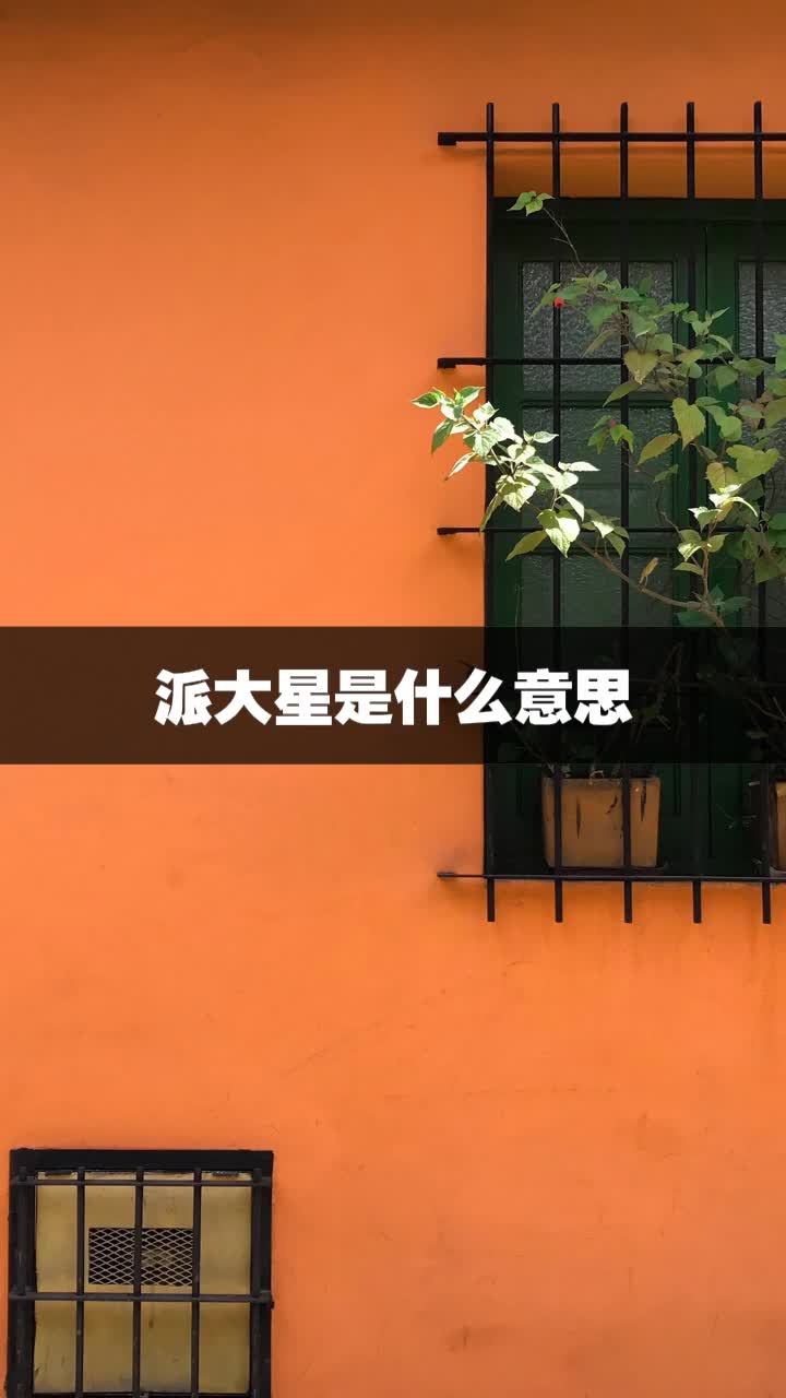 派大星是什么意思