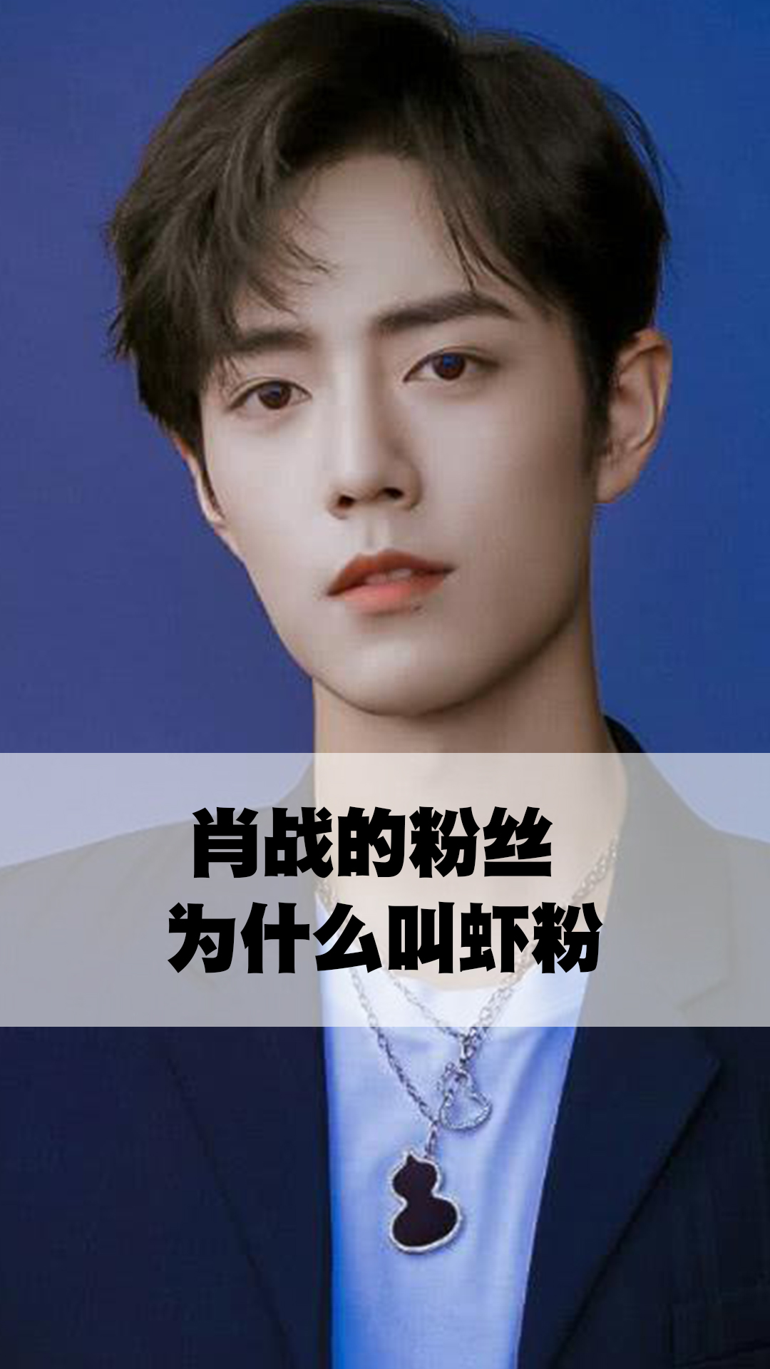 肖战的粉丝为什么叫虾粉