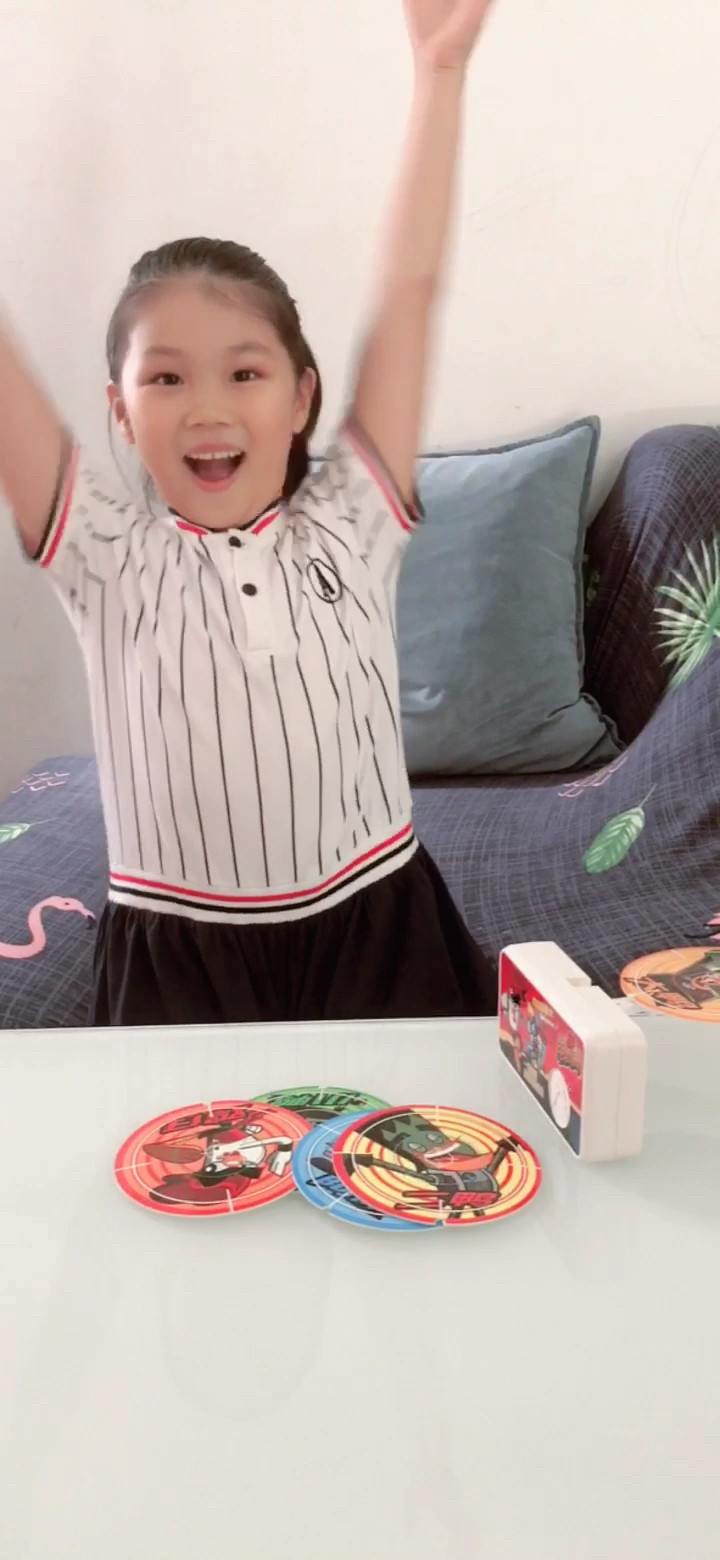 功夫鸡