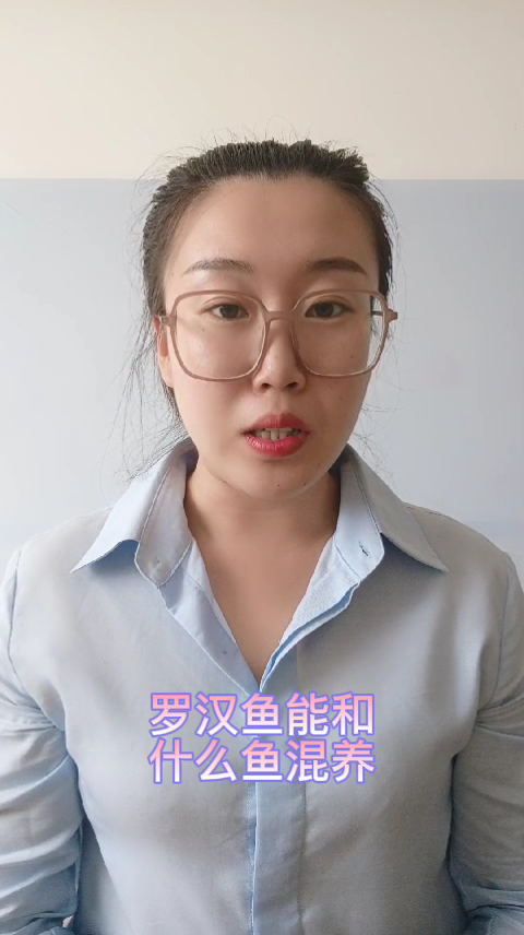 罗汉鱼能和什么鱼混养
