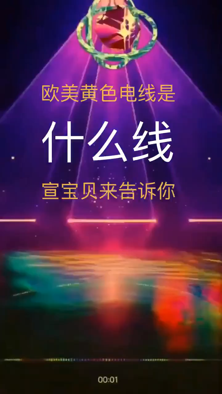 欧美黄色电线是什么线?