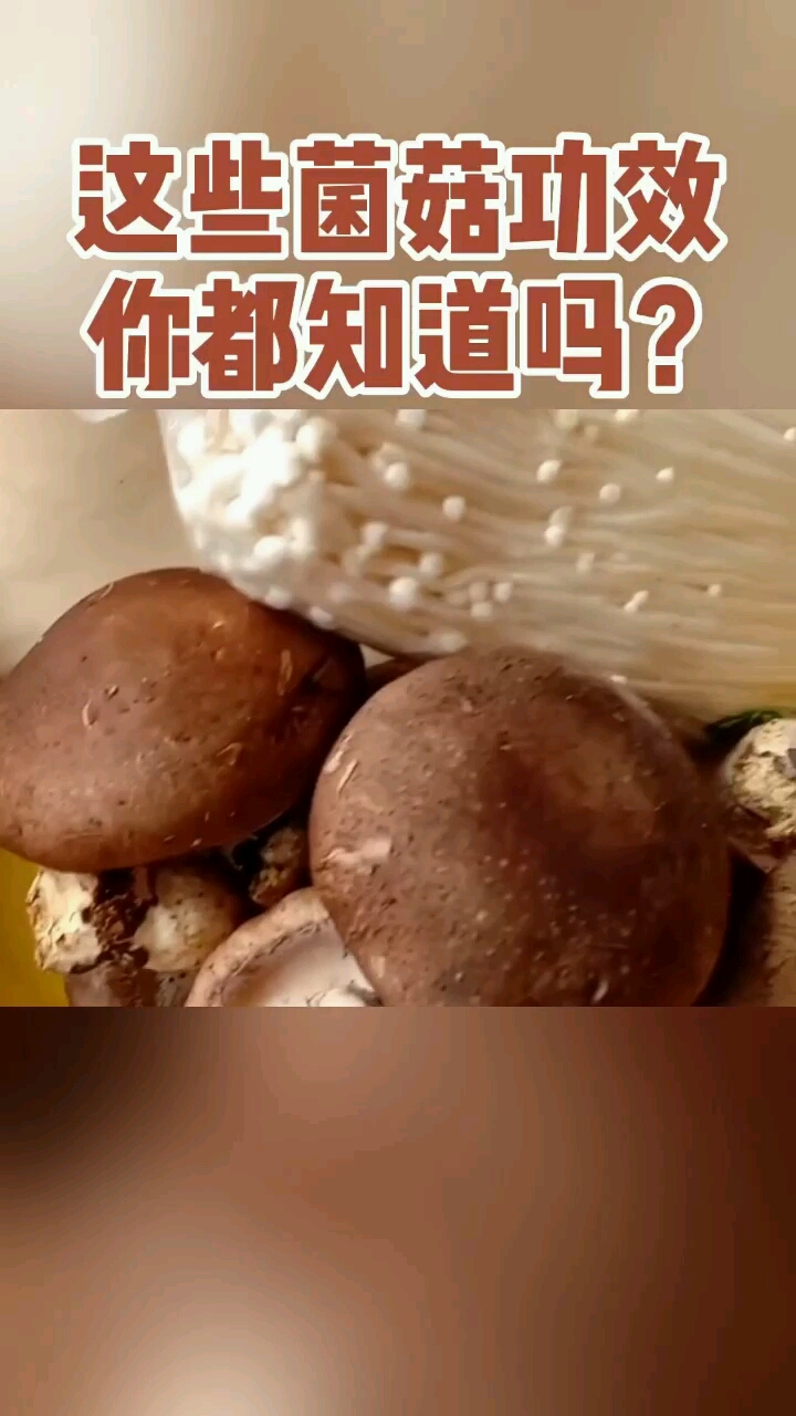 菌菇你们都知道那么它们都有哪些作用呢