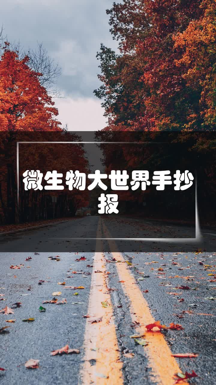 微生物大世界手抄报