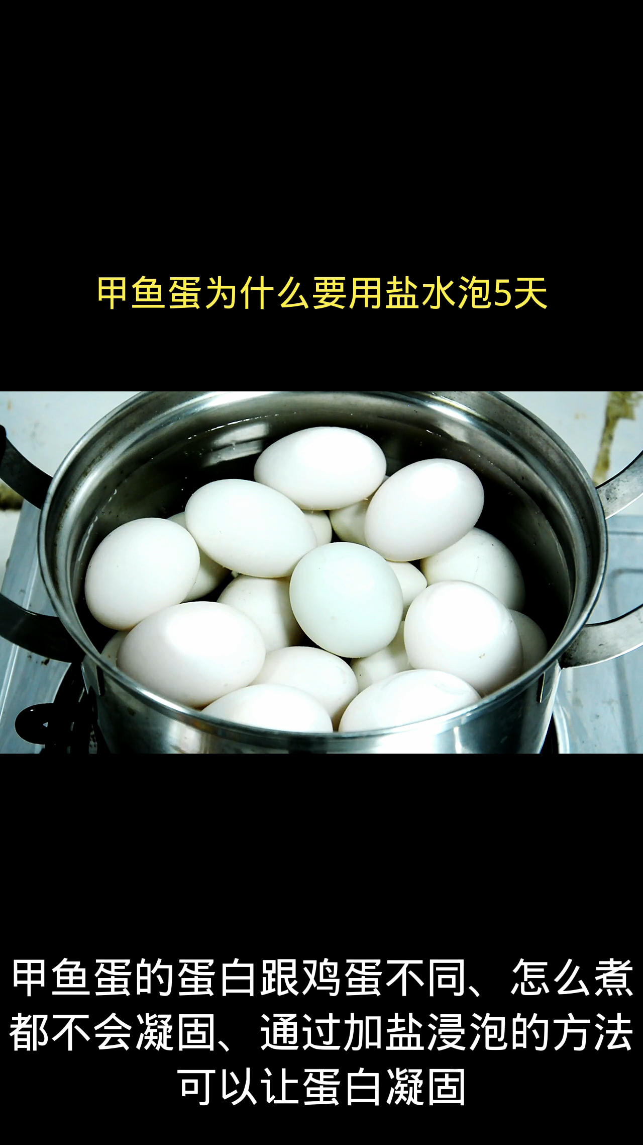 甲鱼蛋为什么要用盐水泡5天