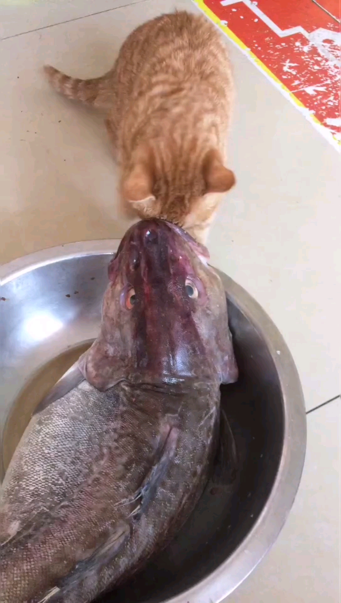 到底是谁吃谁?