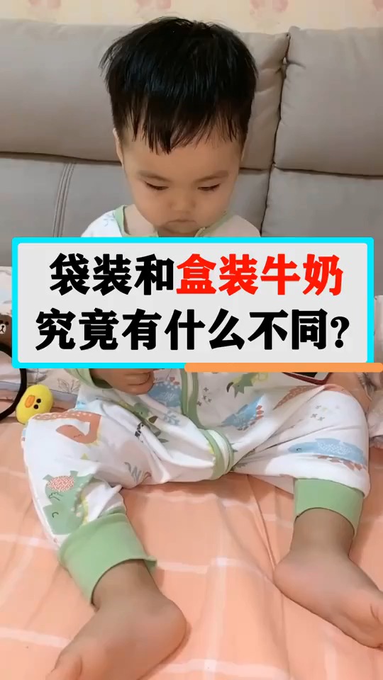 袋装牛奶和盒装牛奶,究竟有什么不同?