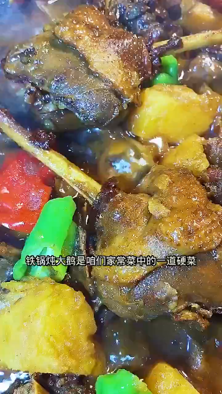 炖大鹅的做法家常视频