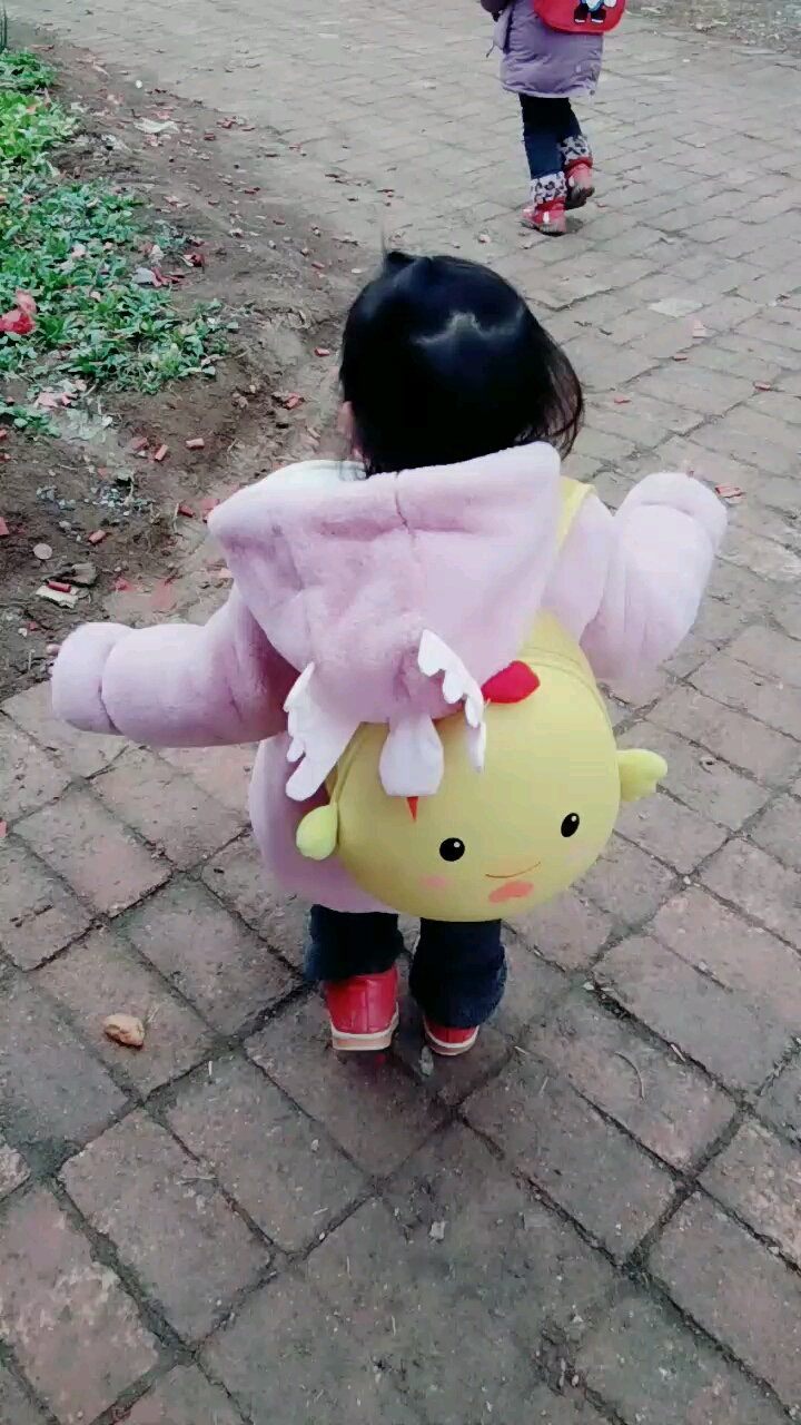 小鸡小鸡上学去啦!