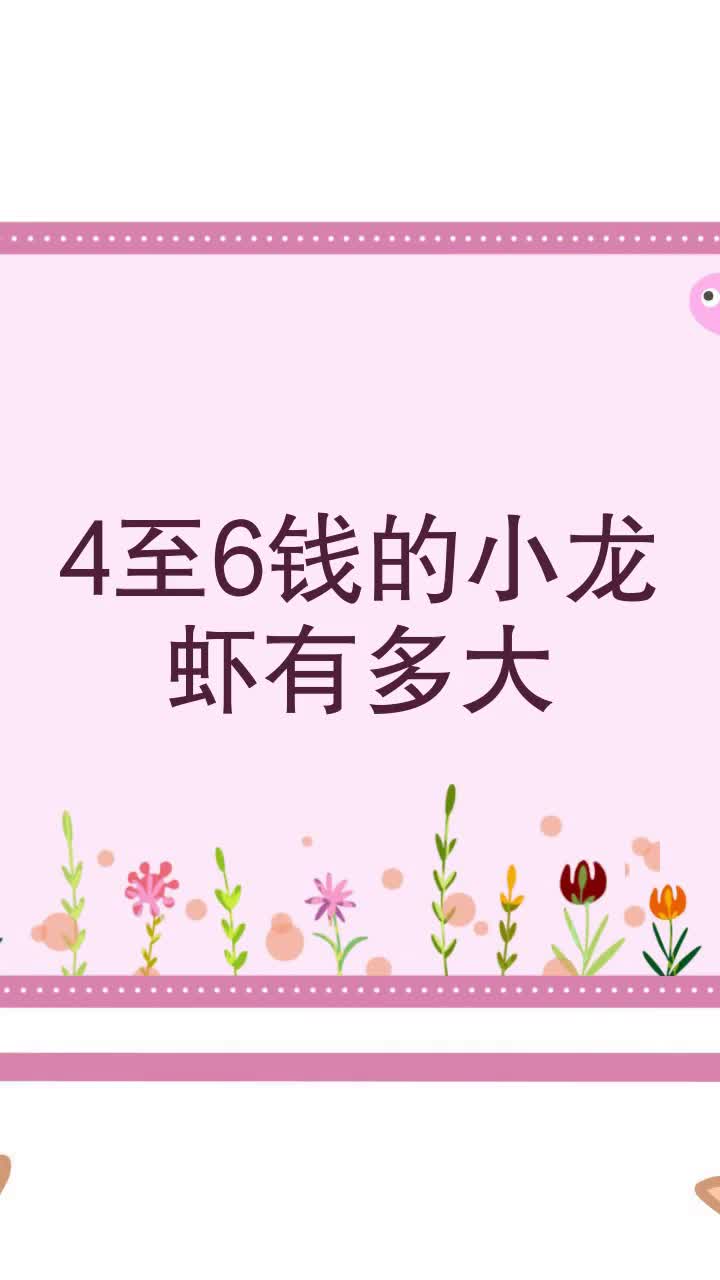 4至6钱的小龙虾有多大