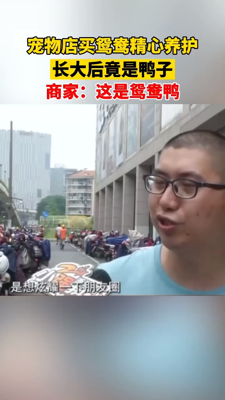 杭州男子宠物店买“鸳鸯”精心养护,长大成鸭子。商家:这是鸳鸯鸭!
