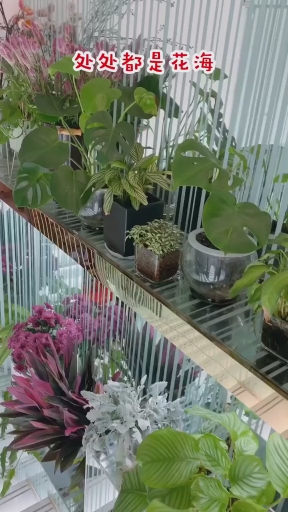#探店美食#圣诞约会圣地,颜值环境超棒