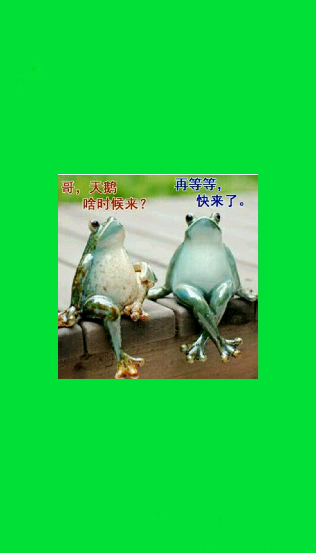 #搞笑表情包#