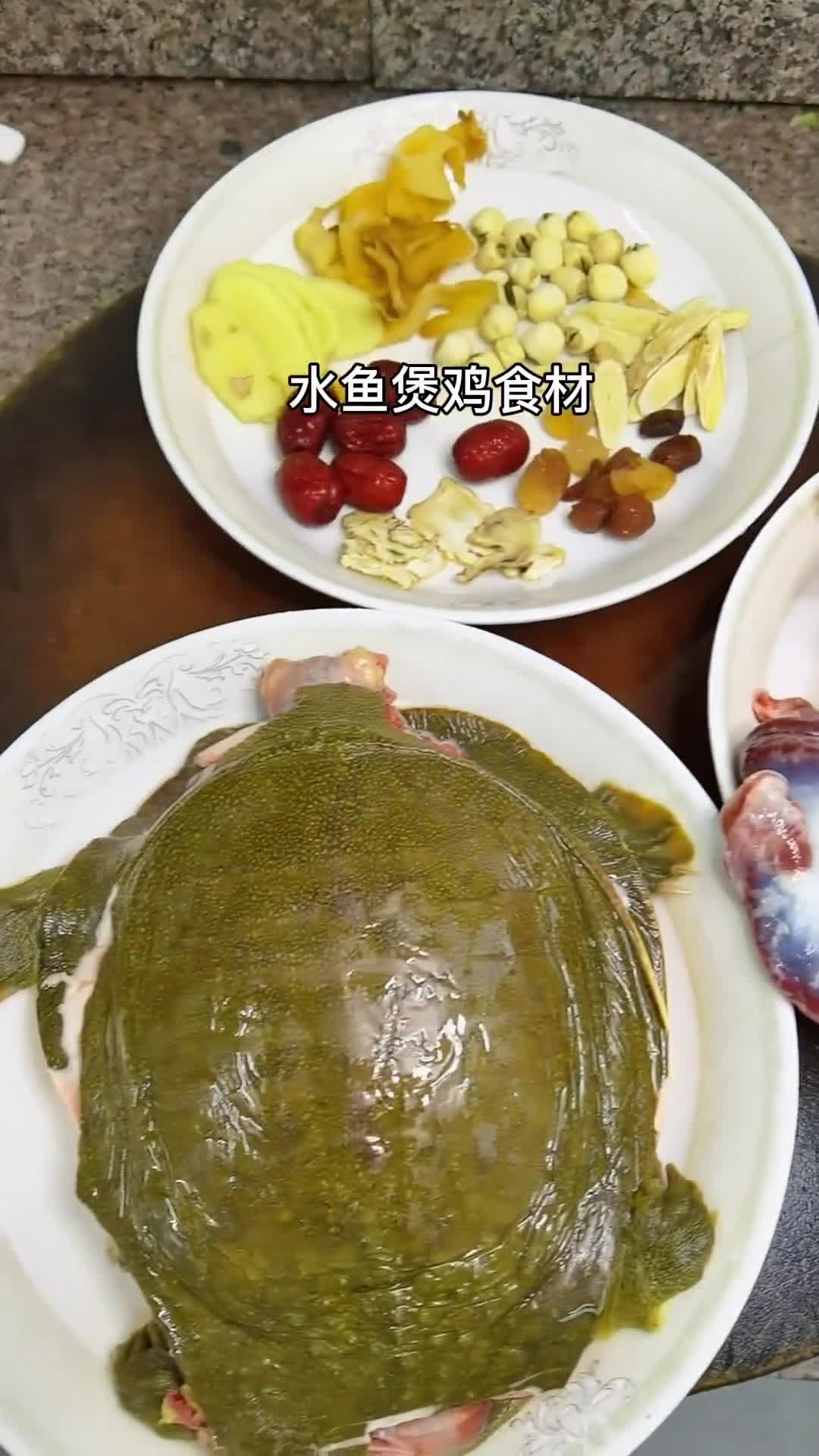 水鱼怎么做好吃煲汤,你学会了吗