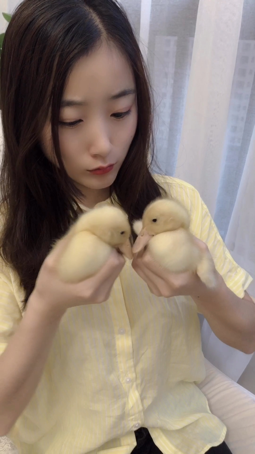 两个鸭鸭因为名字的事情打起来了!