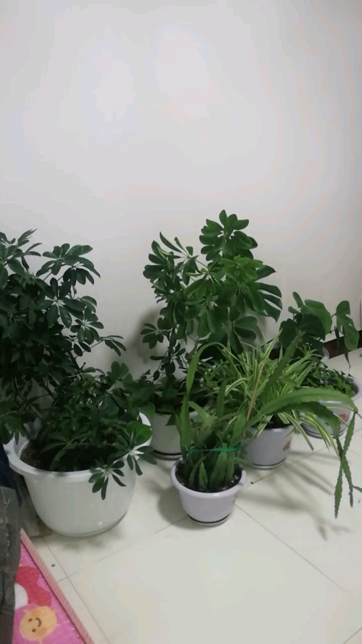 #音为有你#忙碌了一天,刚下班,累呀,困呀,苦呀,都自已尝呀!