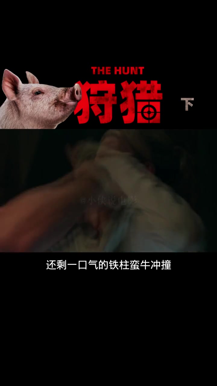 6808081867833724167