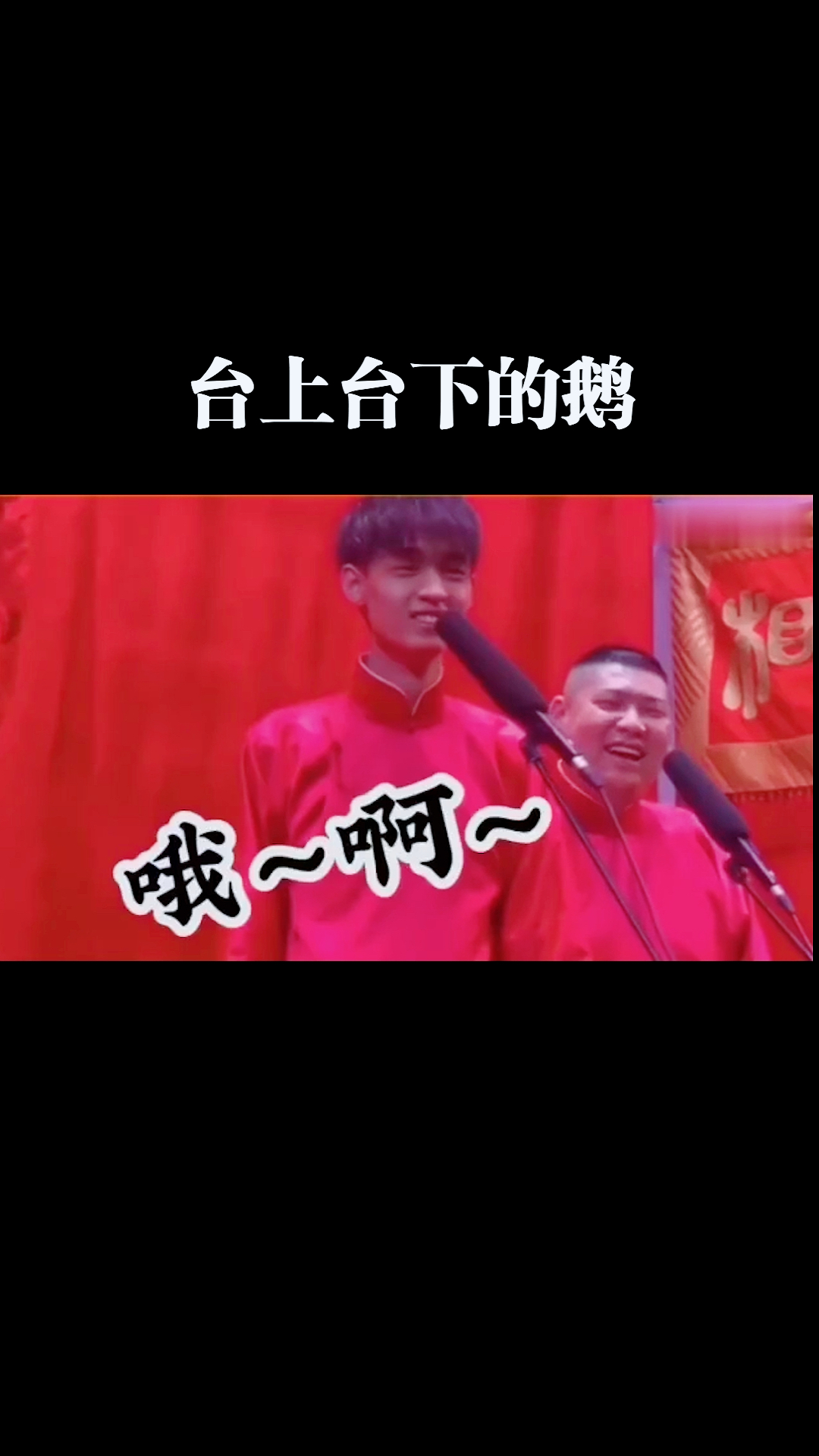 台上台下的鹅