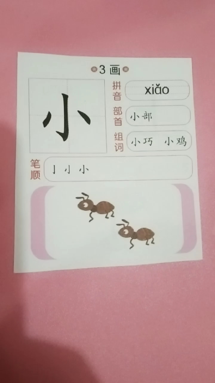 一年级语文必会汉字小xiǎo 小巧 小鸡