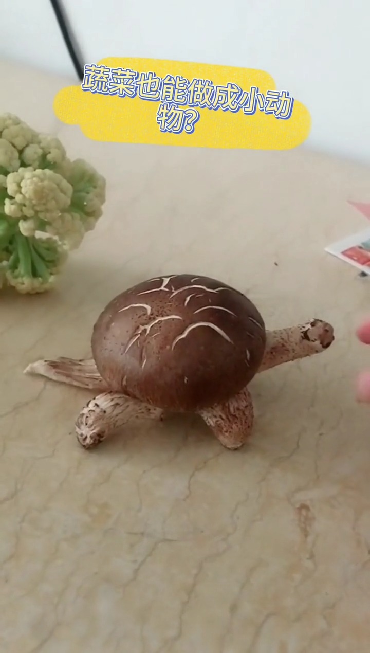 用蔬菜做成的小动物
