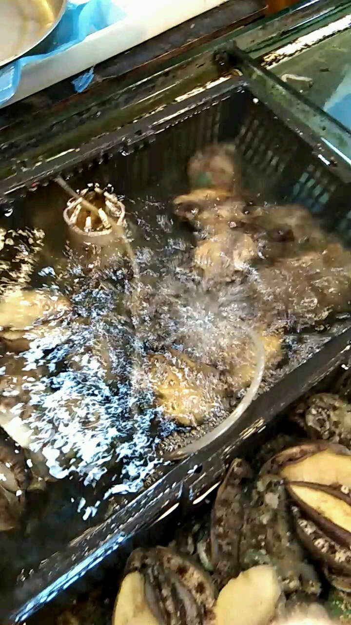 #音为有你#