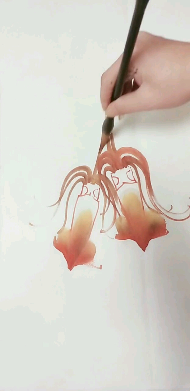 #快要憋疯的你#教你画可爱的鱿鱼
