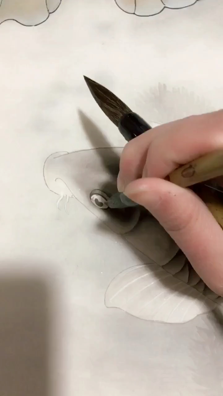 画鱼