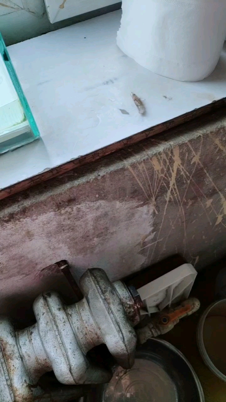 分享视频