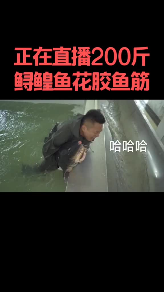 在给爸爸做饭。这个盖浇饭补啊!