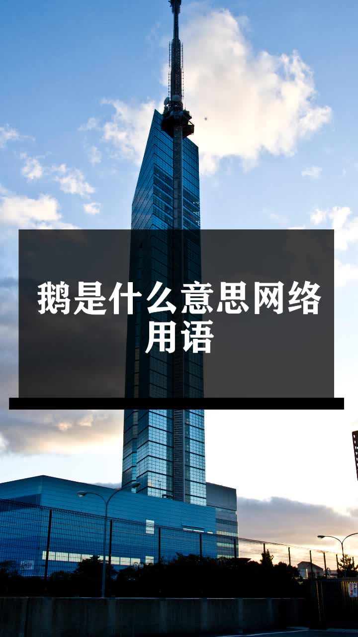 鹅是什么意思网络用语