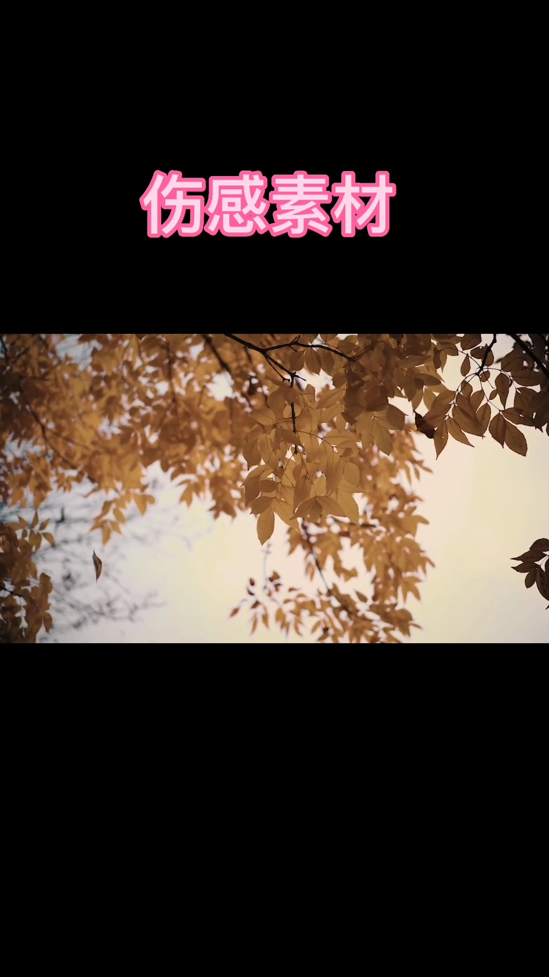 伤感素材小视频 
