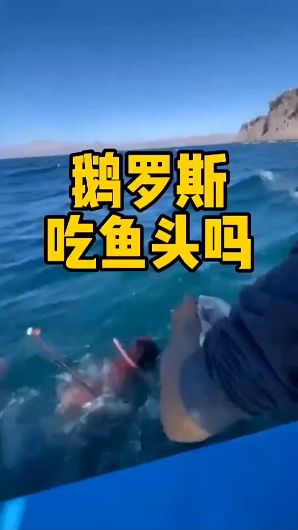 俄罗斯人吃鱼头吗?
