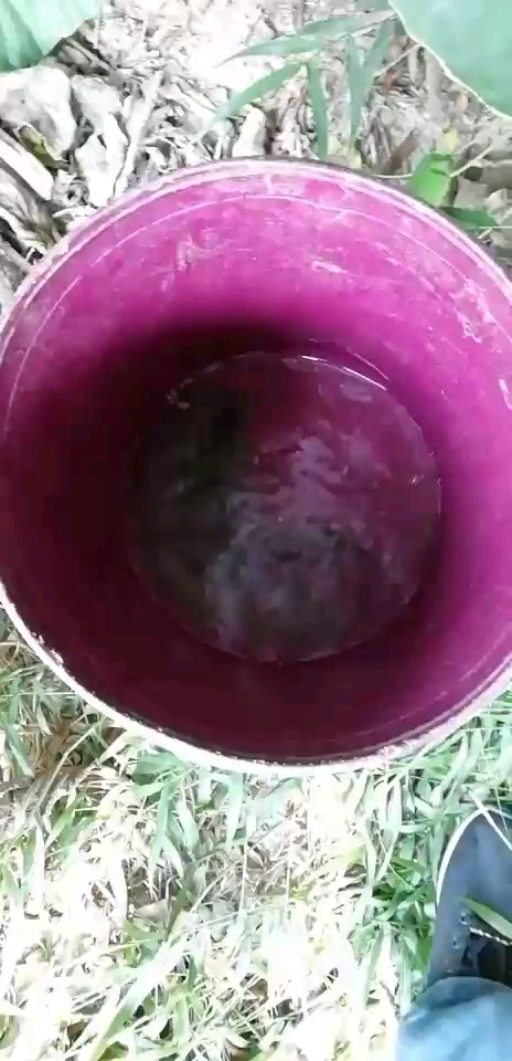 嘟嘴鱼水流急好难钓 