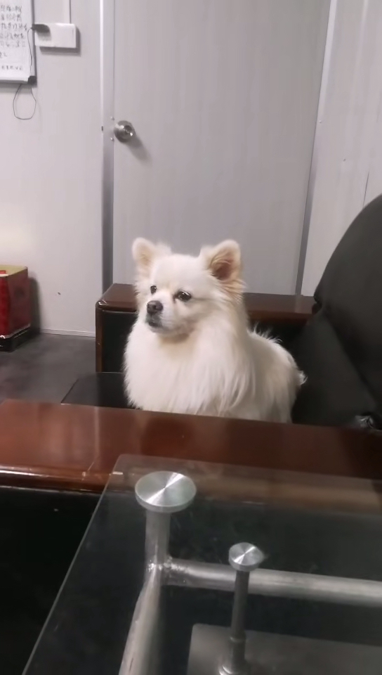 #音为有你#是个人物