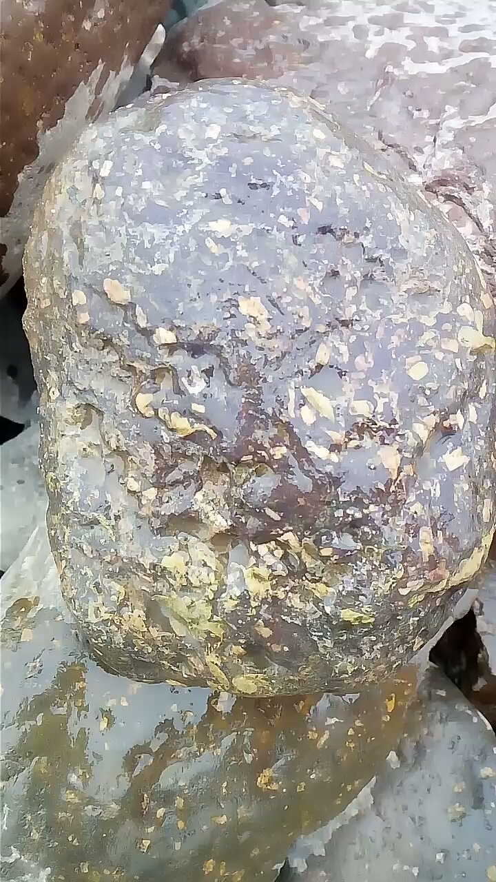 梅花玉石