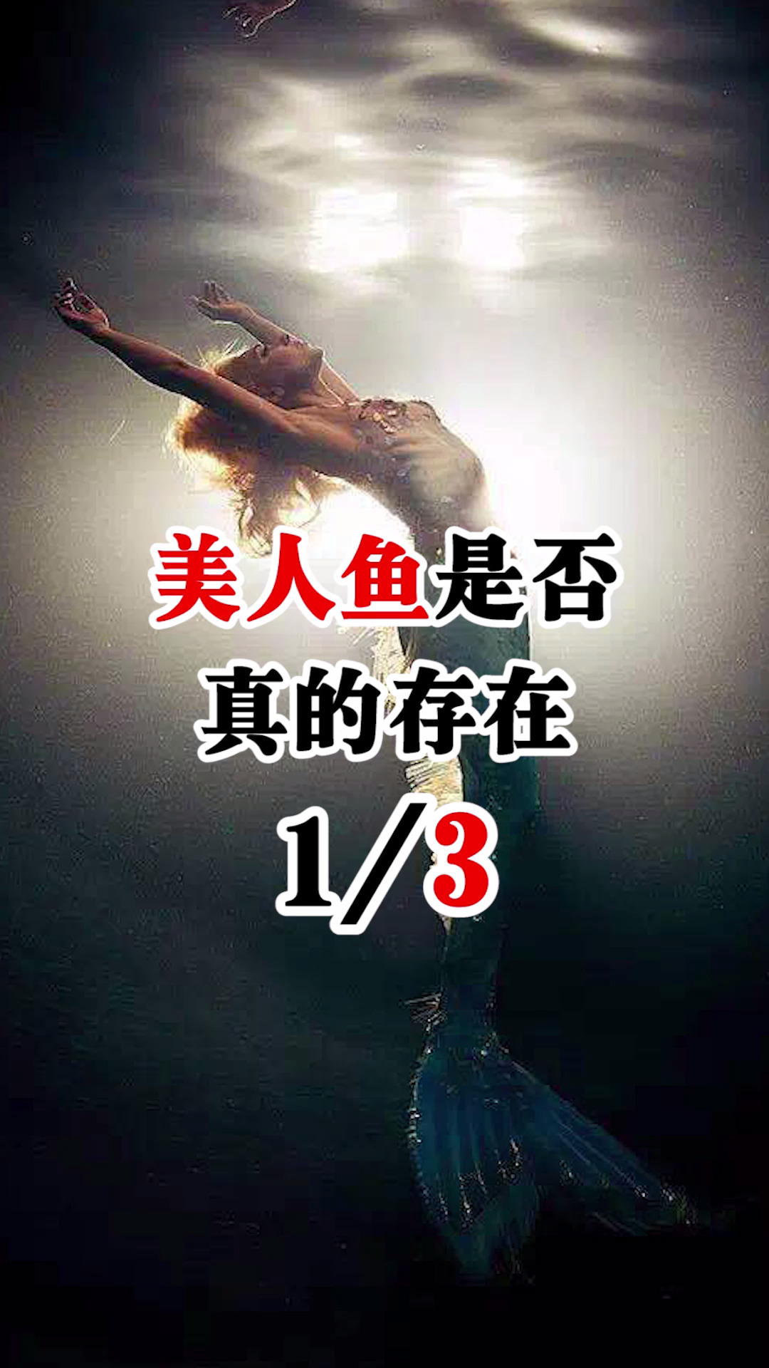 你见过美人鱼吗1