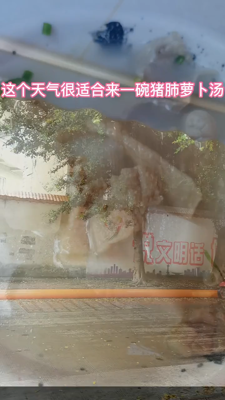 萝卜猪肺汤的做法窍门