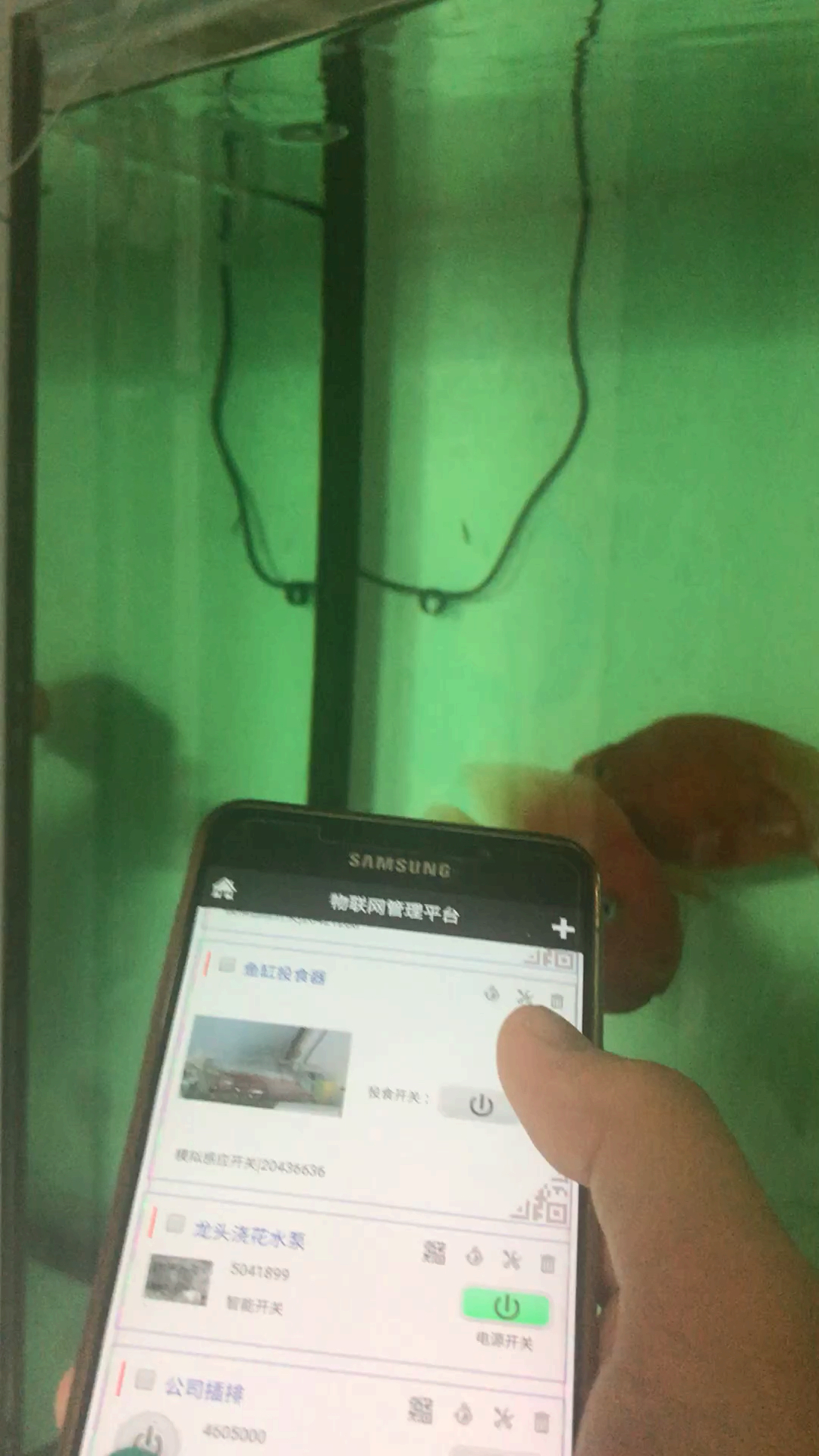 用跨阵物联网开关远程控制投食机实现手机远程喂鱼,还可以设置定时自动投食。