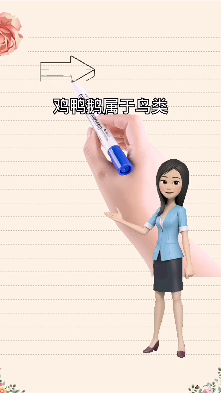 鸡鸭鹅属于什么类动物