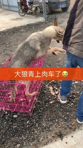 不想去,还让去