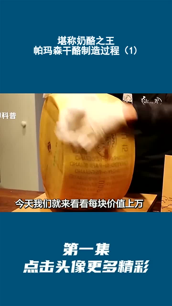堪称奶酪之王,帕玛森干酪制造过程(1)