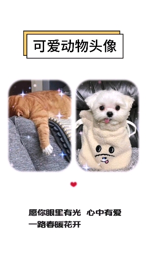 #头像#萌系小可爱来了,。。