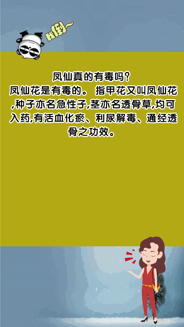 凤仙真的有毒吗?