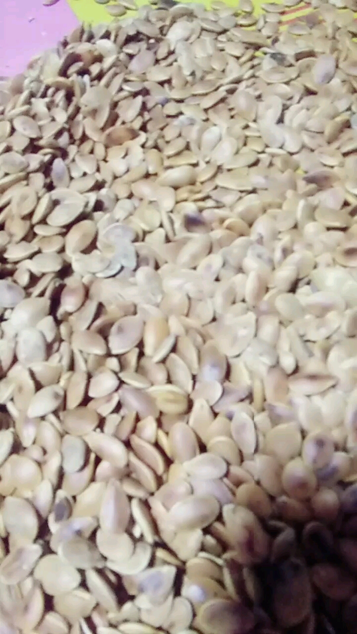 窝瓜子炒了好吃