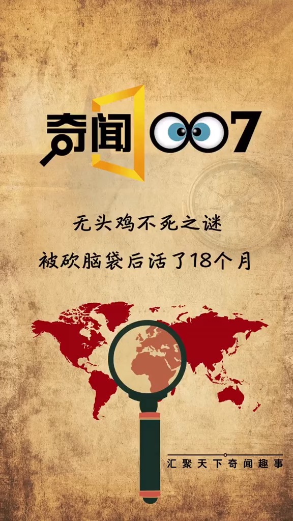 无头鸡不死之谜,被砍脑袋后活了18个月