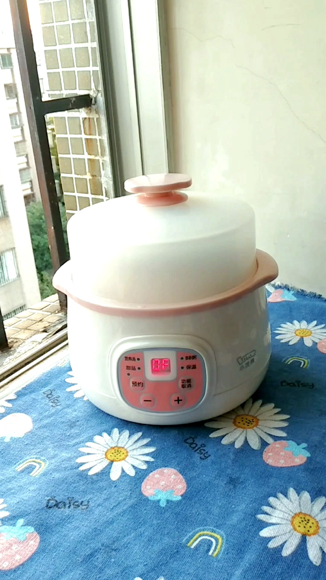 小浣熊电炖锅,全自动隔水炖煮食材