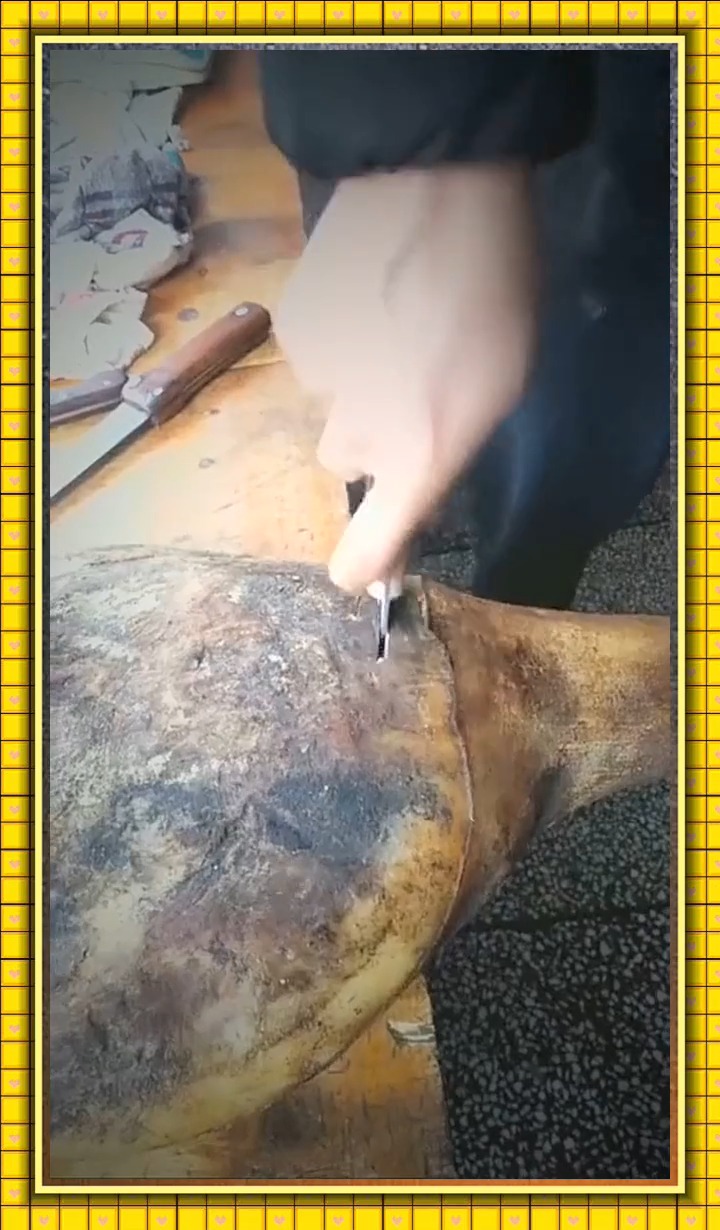 #明星娱乐#三年的火腿,里面竟没有骨头,轻轻一划就被切开!