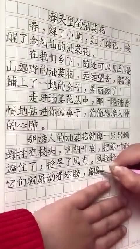 网友:中午带他去看油菜花,下午写小作文