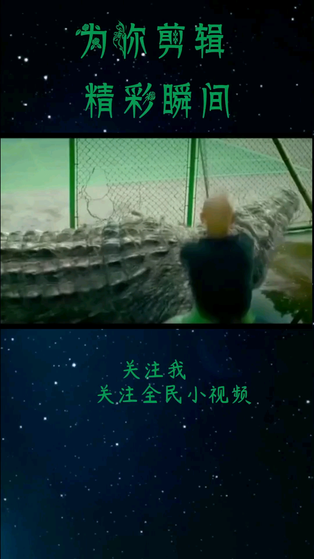 老板让屠夫杀老鳄鱼,第一次见这么大的,竟然有点拿不准了…